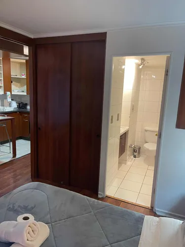 Comodos Departamentos En Bellas Artes