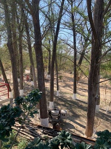 Venta Quinta/casa Nueva Tipo Hacienda En El Frayle