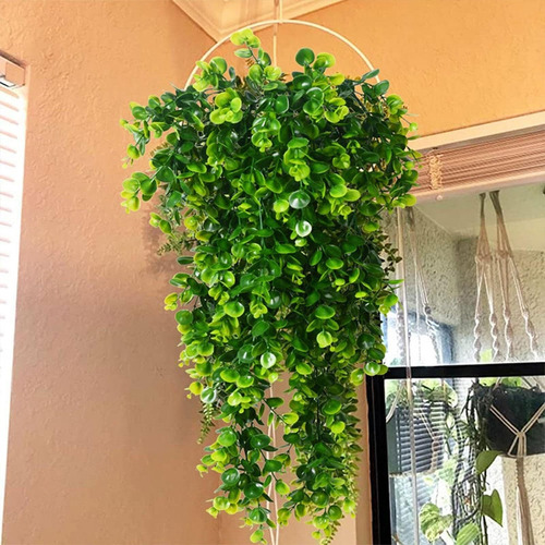 Plantas Penduradas Falsas, Plantas Penduradas Artificiais, 2