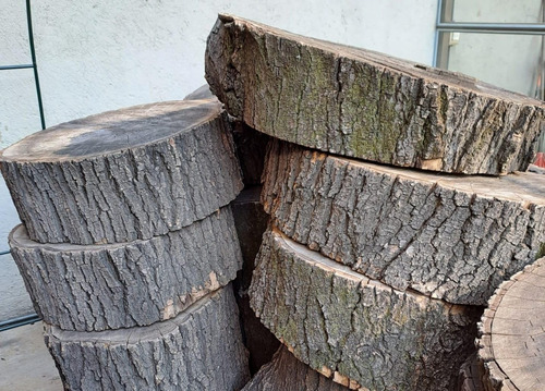 Tronco De Madera De Fresno Grande Con Corteza.