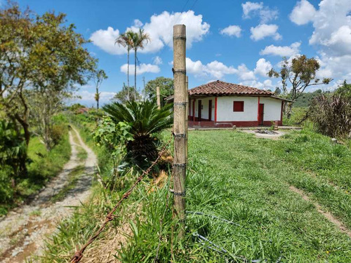 Finca En Filandia Con Quebrada Y Nacimiento Hermosa Vista