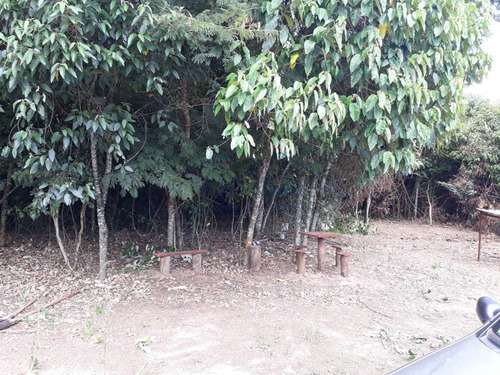 Imagem 17 de 30 de Chácara, Campo Alto, Pirassununga - R$ 180 Mil, Cod: 10131719 - V10131719