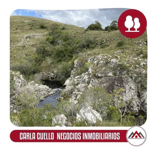 Imagen 3 de 19 de Venta, Chacras De 5 Hectáreas, Maldonado.