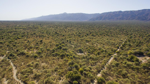 Venta De Campos En Chancani Traslasierra Cordoba