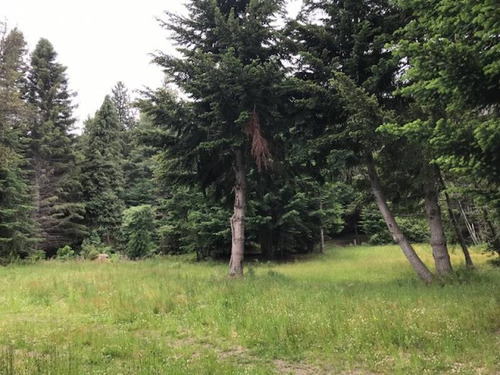 Terrenos O Lotes Venta Villa La Angostura