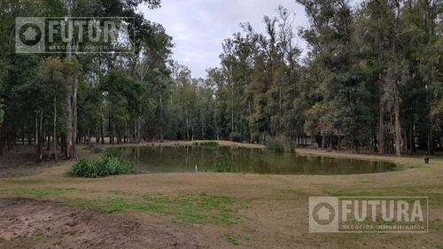 Imagen 10 de 10 de Venta Lote De Terreno En Campo Timbo