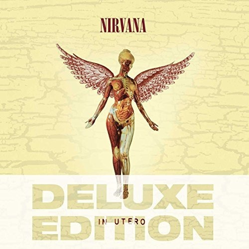 Nirvana In Utero (20th Anniversary Edition) Anniversary Cdx2