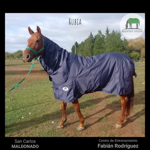 Manta Capa Caballo Importada (descuento Vta. Directa)