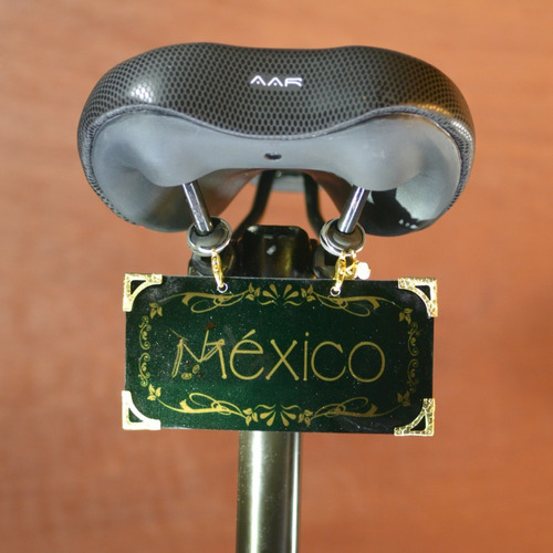 Placa Para Bicicleta 12x6 Cms. (alum. Oro Espejo)  México