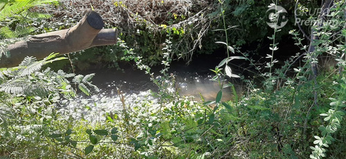 Parcela En Venta En Sector Las Ñipas En Santa Bárbara