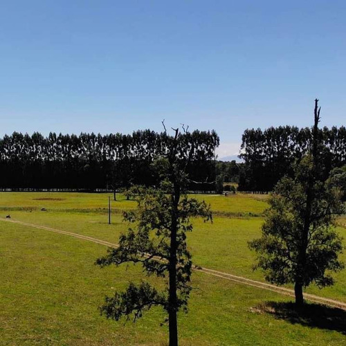 Parcelas En Frutillar, Bosque Y Praderas. Financiamiento