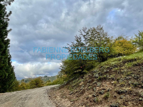 Imagen 18 de 20 de Terreno 2000 M2 En Peñon Del Lolog - San Martin De Los Andes
