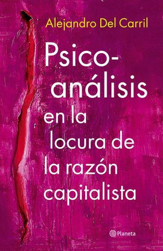 Imagen 1 de 2 de Psicoanalisis En La Locura De La Razon Capitalista - Alejand