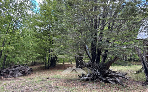 Häuser Vende Cabaña En Palguin Alto Pucon 2dorm 1b