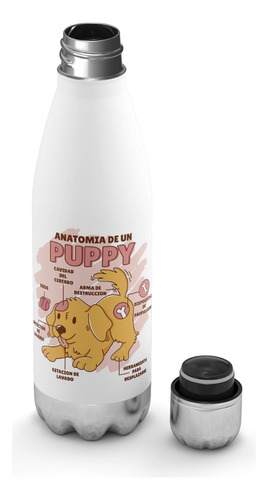 Botella De Agua Termica Anatomia De Un Perro