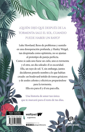 Boulevard Libro 1: La Versión De Flor M Salvador Original