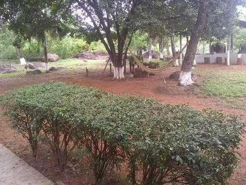 Imagen 16 de 23 de Venta De Finca Edo. Guarico, Pao Los Dos Caminos 1082 Hectáreas