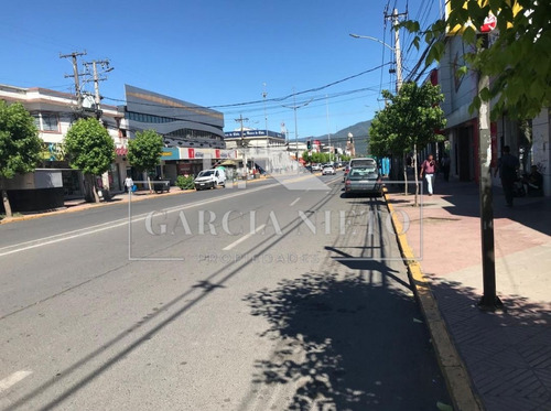 Local Comercial En Avenida Principal De San Fernando