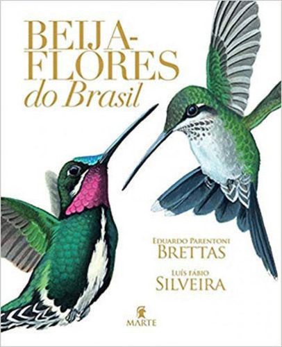 Beija-flores Do Brasil, De Silveira, Luis Fabio. Editora Queen Books, Capa Mole, Edição 1ª Edição - 2018 Em Português