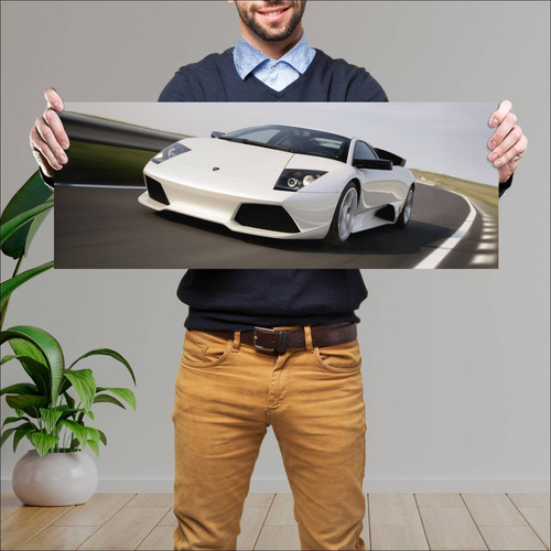 Cuadro 30x80cm Auto 2006 Lamborghini Murcielago 170