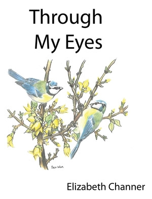 Libro Through My Eyes: A Book Of Poems Mainly For Childre...