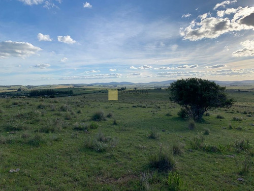Imagen 5 de 20 de Venta De Campo De 80 Hectáreas Sobre Ruta 39