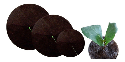 Imagen 1 de 3 de Pack 3 Discos De Pelo Para Plantas