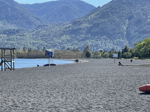 Primera Línea - Playa Grande, Pucón