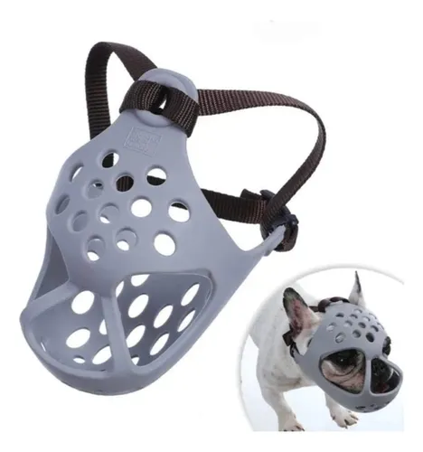 Chincha bulldog 2025