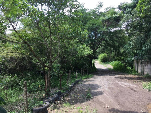 Imagen 7 de 30 de 33 Has Cerca De Altozano El Nuevo Colima