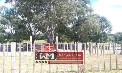 Venta Campo Florida 720 Has Agrícola Ganadero Completo