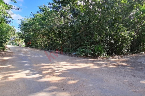 2 Terrenos Juntos 430 M2 Ideal Para Invertir En Cancún, Álamos