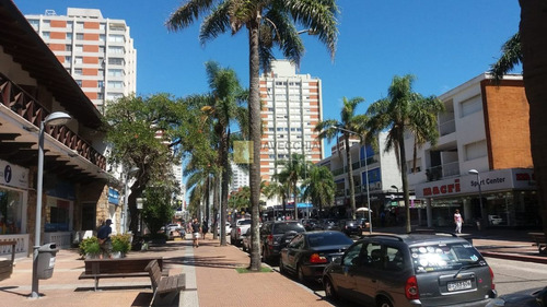 Imagen 13 de 13 de Venta De Apartamento De 1 Dormitorio En Península