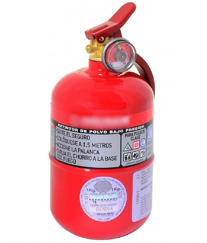 Canje Matafuegos 1 Kg Recargado Recambio Para Auto Apto Vtv (Usado)