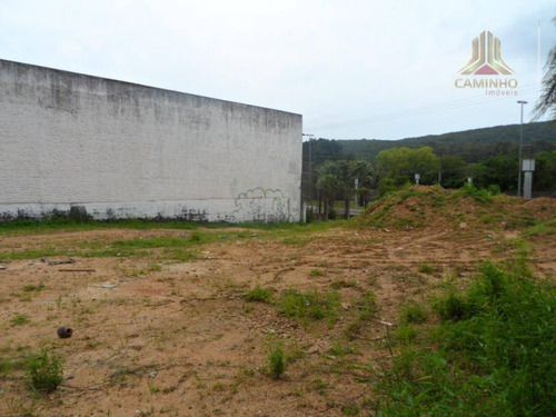 Imagem 9 de 12 de Terreno Residencial À Venda, Agronomia, Porto Alegre. - Te0069