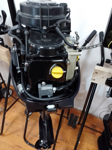 Imagen 14 de 15 de Motor Marino Fuera De Borda Tohatsu 9.8 Hp Cuatro Tiempos