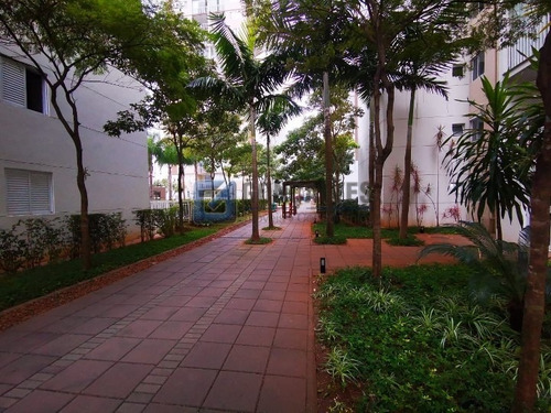 Imagem 15 de 15 de Venda Apartamento Santo Andre Bairro Jardim Ref: 113790 - 1033-1-113790