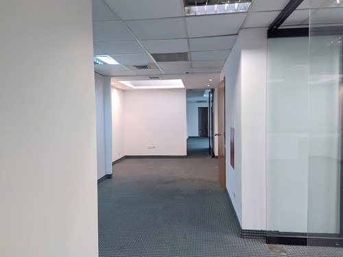 Imagen 3 de 20 de Alquiler Oficina 460m2 Altamira 6074