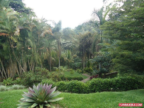 Imagen 5 de 12 de Casa En Venta - La Lagunita