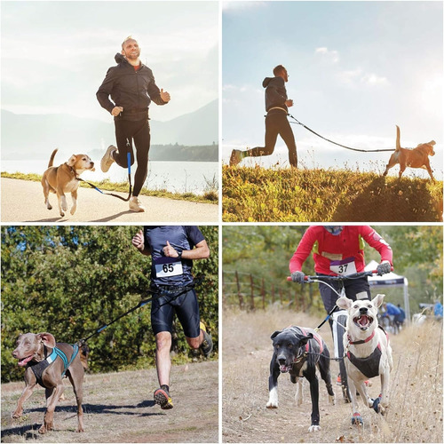 Correa De Perro Manos Libres Con Bolsa Impermeable Con Cr...