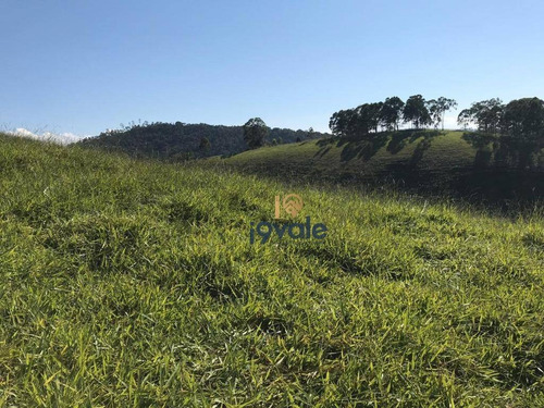 Sitio À Venda Com 10 Alqueires - Ch0055
