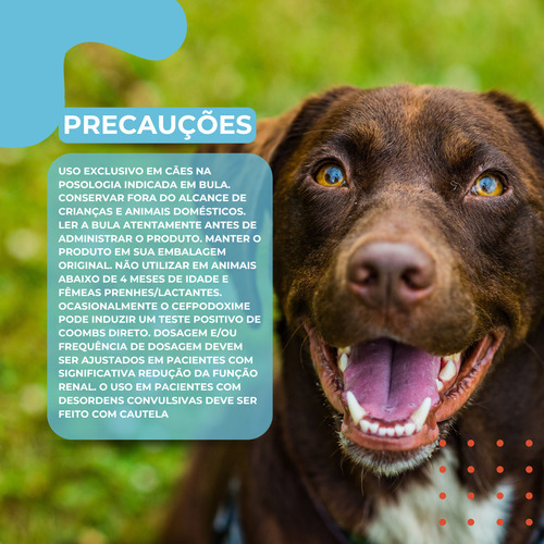 Ceftrat 200mg 12 Comprimidos Antibacteriano Para Cães Agener
