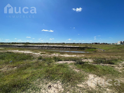 Imagen 6 de 30 de Venta | Oportunidad Vista Directa Al Agua A Precio De Lote Interno | Naudir Delta