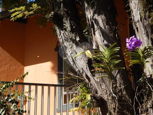Abra As Portas Para O Seu Novo Jardim - 353-im144639