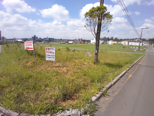 Imagem 5 de 6 de Terreno - Prospera - Ref: 33437 - V-33434