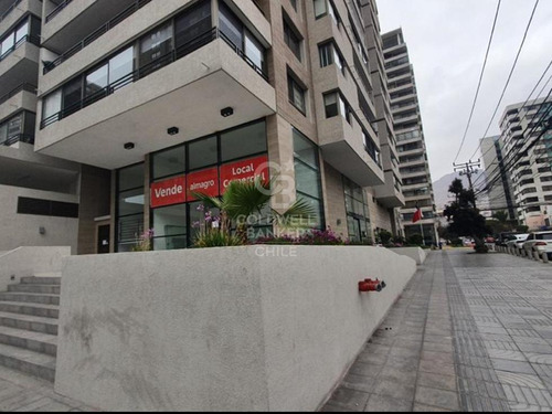 Local Comercial De 2 Plantas En Parque Brasil