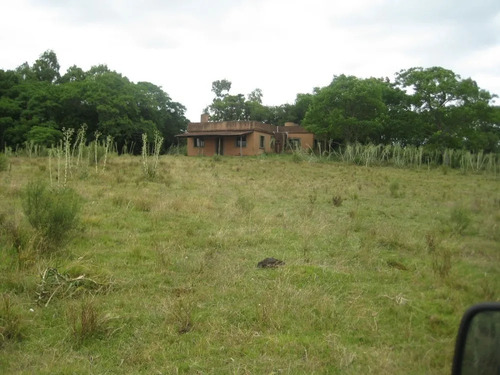 Campo Ganadero En Solis Chico.