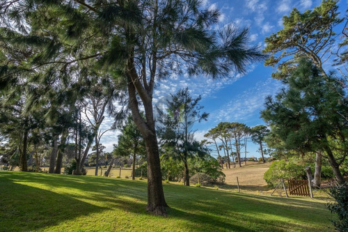 Imagen 12 de 30 de 7 Ambientes Sobre El Golf Viejo - Pinamar