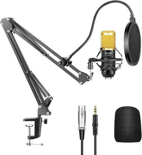 Kit Micrófono Condensador Estudio Grabación Neewer Nw-800