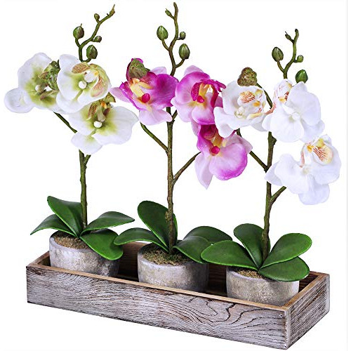 Juego De 3 Surtido De Orquídeas Falsas Mini Plantas De Orquí